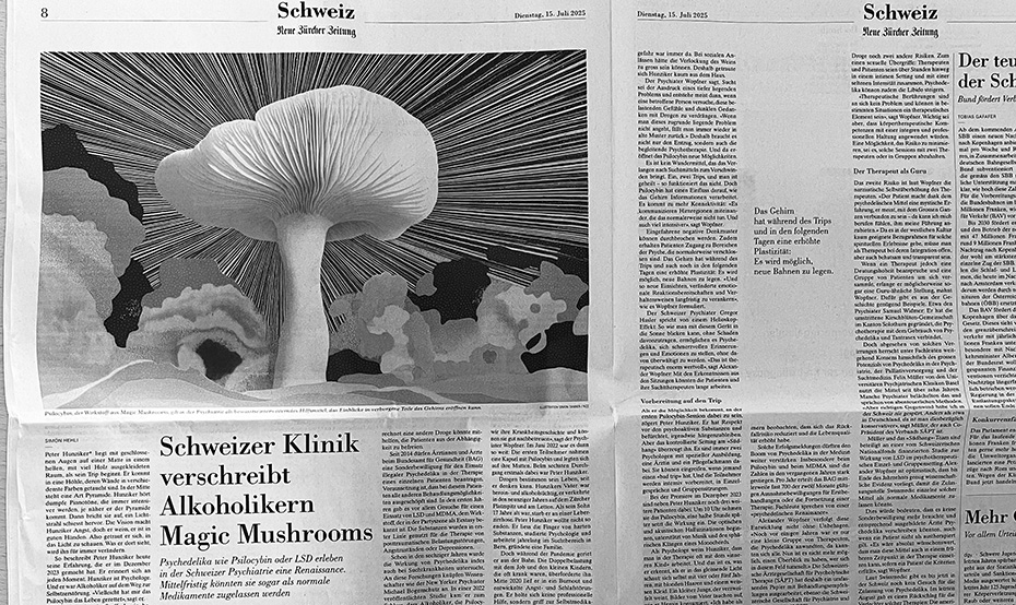 Abbild des Zeitungsbeitrags